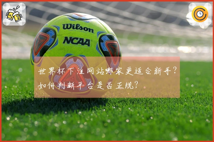 世界杯下注网站哪家更适合新手？如何判断平台是否正规？