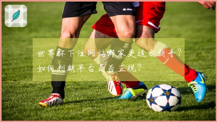 世界杯下注网站哪家更适合新手？如何判断平台是否正规？